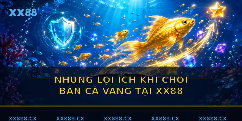 Tổng quan về xx88